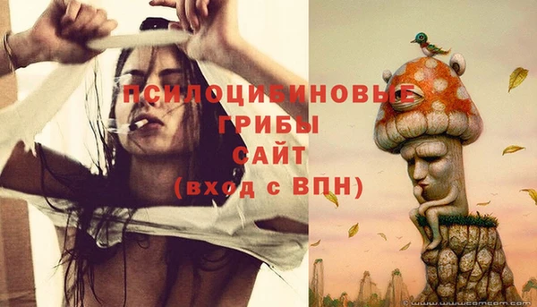 сатива Абдулино