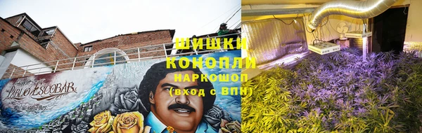 сатива Абдулино