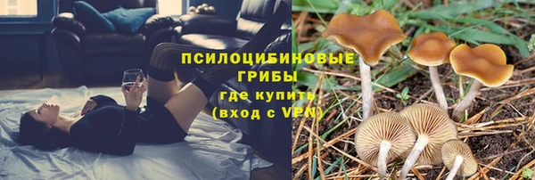 сатива Абдулино