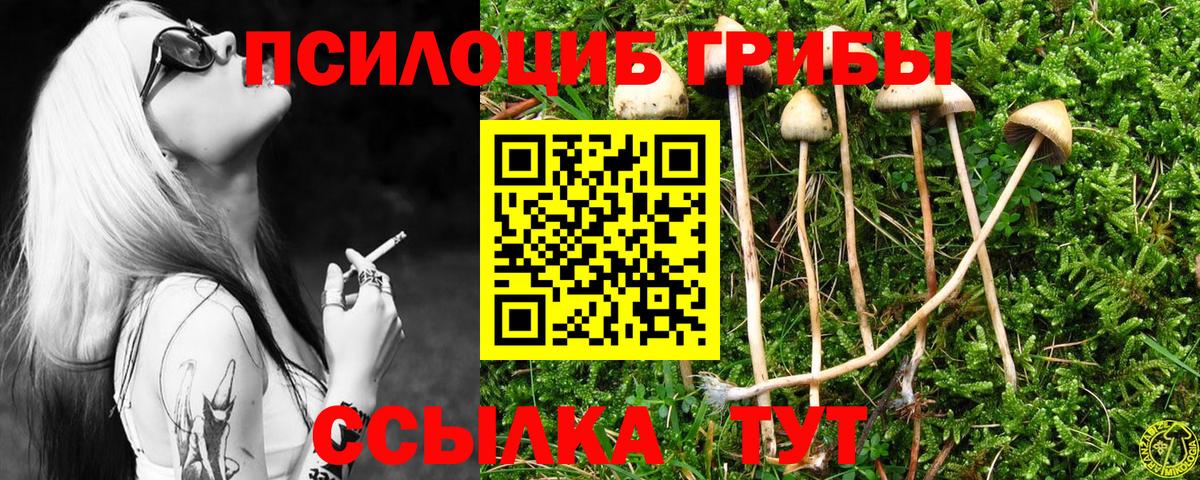 закладка  Псилоцибиновые грибы Psilocybine cubensis  Вход с VPN  Уфа  Псилоцибиновые грибы мухоморы 