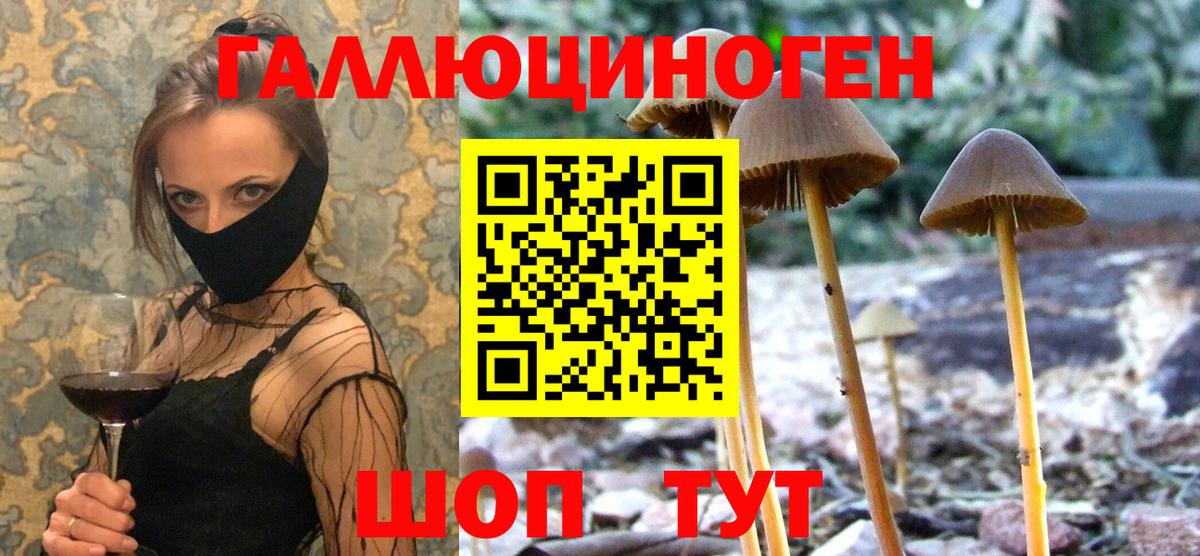 Псилоцибиновые грибы мицелий Уфа